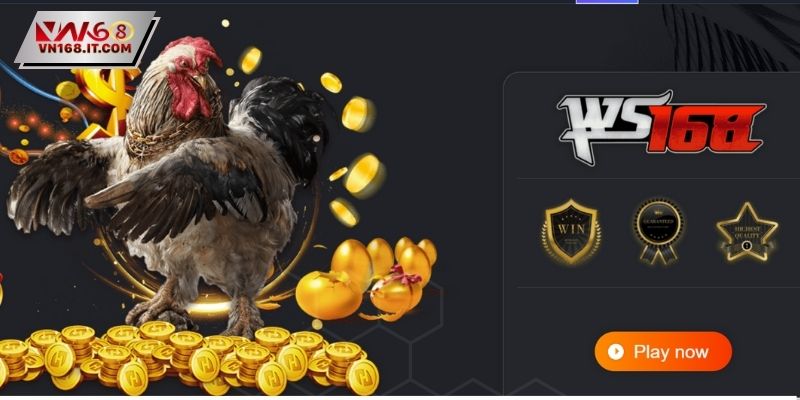 Sảnh đá gà VN168 thu hút đông thành viên