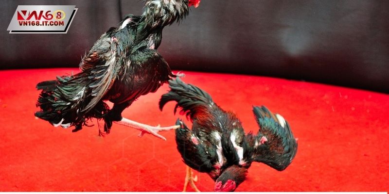 Sức hấp dẫn chính là yếu tố bất ngờ trong trận