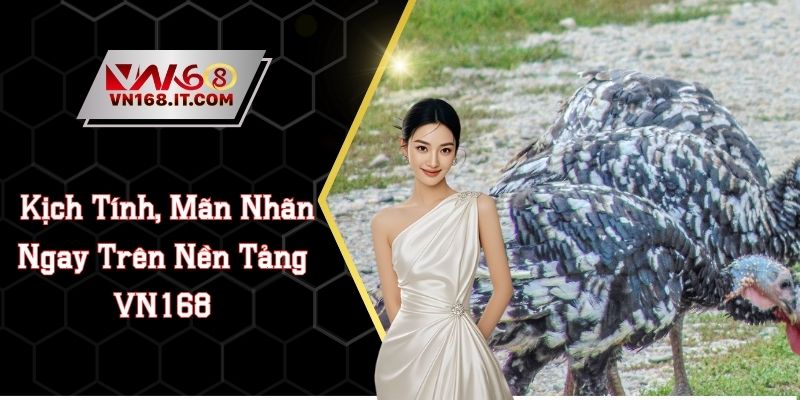 Trận Đá Gà 5 Tỷ Kịch Tính, Mãn Nhãn Ngay Trên Nền Tảng VN168